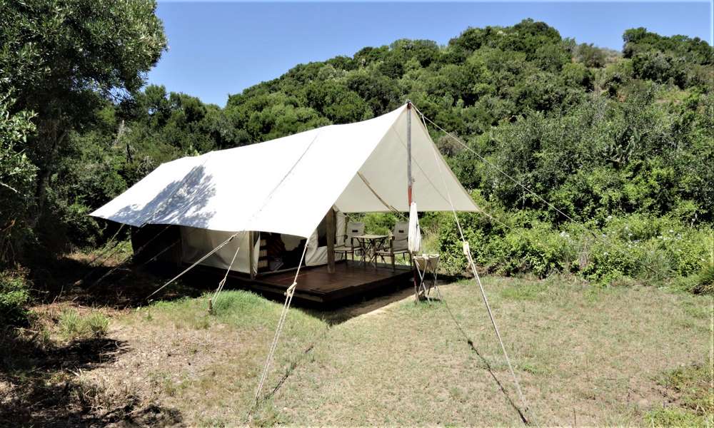 Amakhala Quatermain