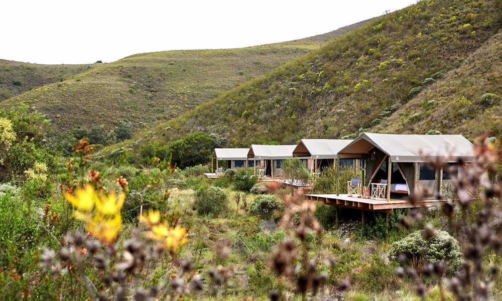 Gondwana Tented