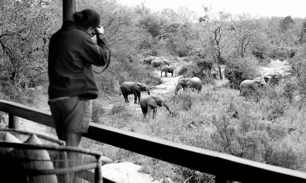 Londolozi Founder