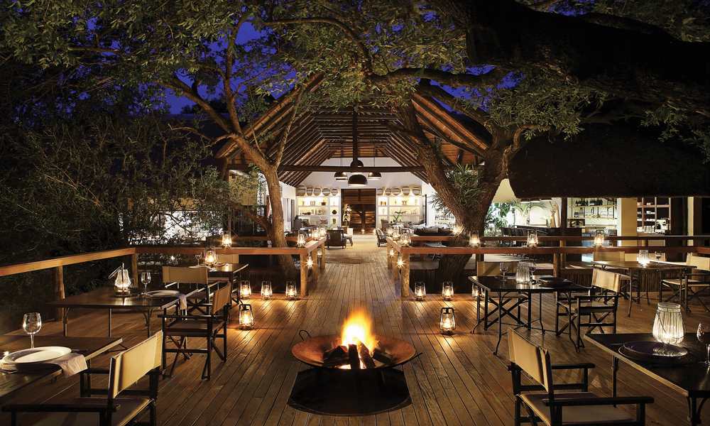 Londolozi Tree