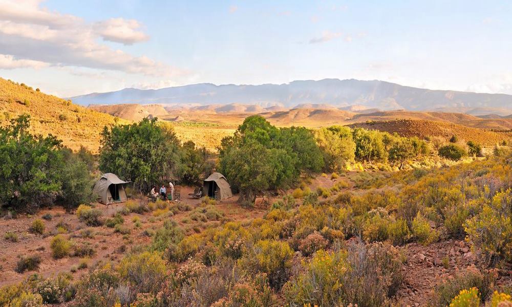 Sanbona Explorer