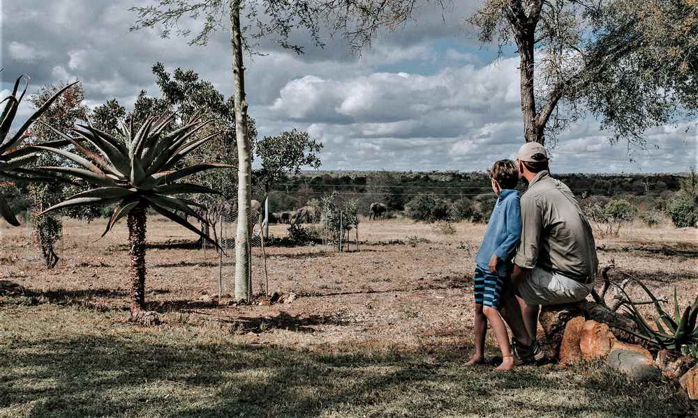 Tanda Tula Nkarhi
